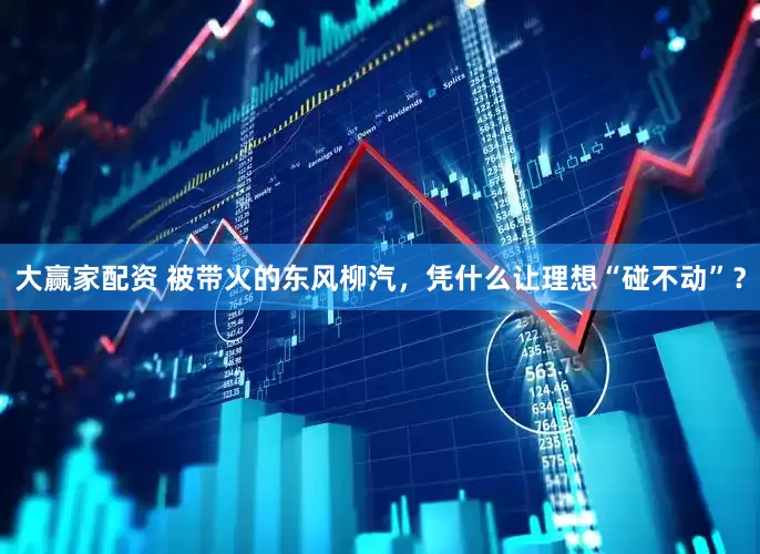 大赢家配资 被带火的东风柳汽，凭什么让理想“碰不动”？