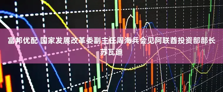 富邦优配 国家发展改革委副主任周海兵会见阿联酋投资部部长苏瓦迪